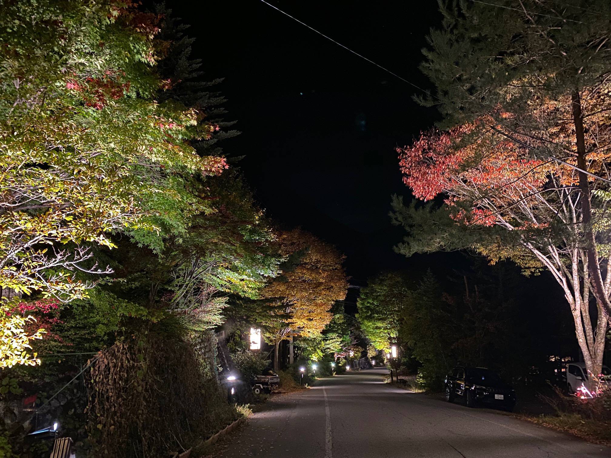 紅葉の町並みライトアップイベントのご案内。